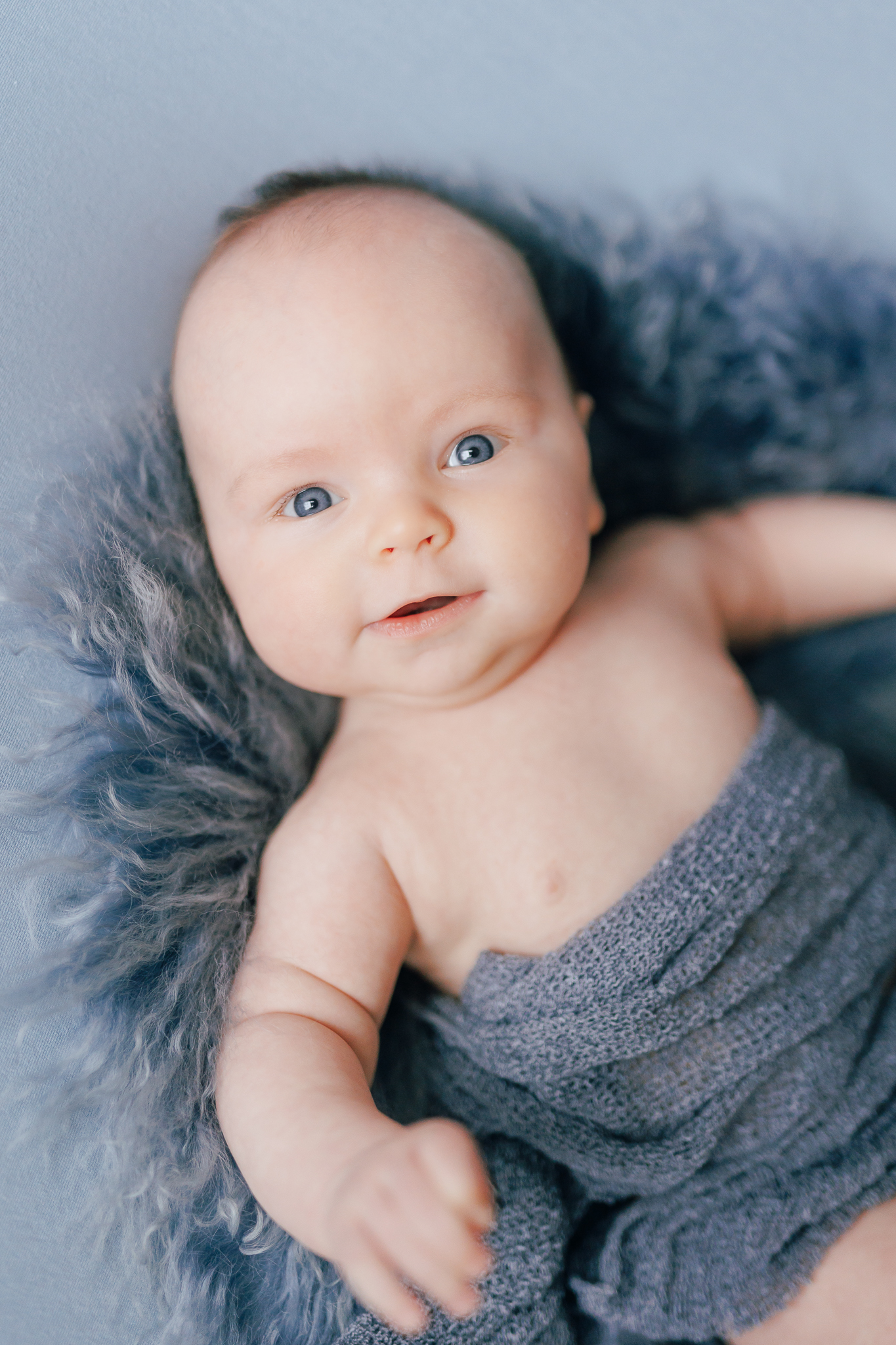 three month old baby swaddled in blue on blue backdrop and blue fur looking at the camera